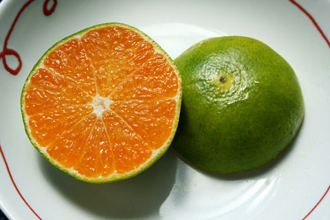 Orange Fruit