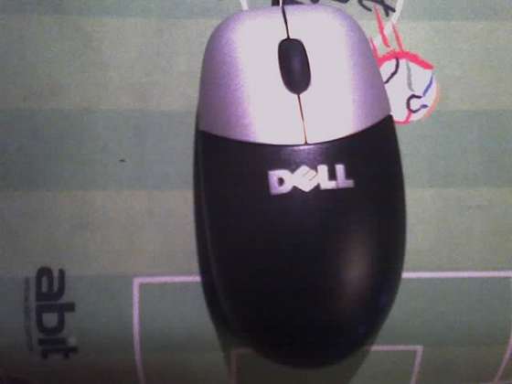 Dell Brand
