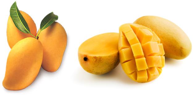 Mango fruit nutrition facts
