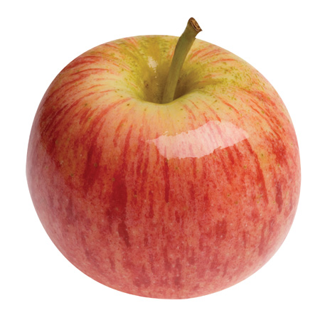 Apple Fruit