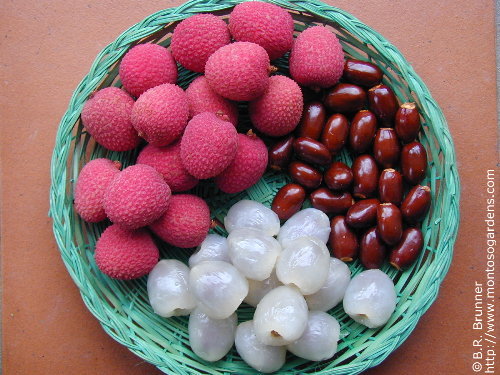 Health Benefits of Lychee
